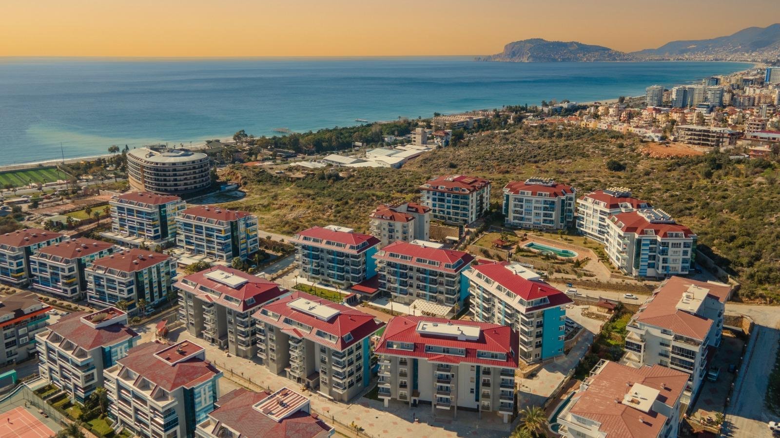 WhatsApp Image 2026-01-30 at 13.43.59