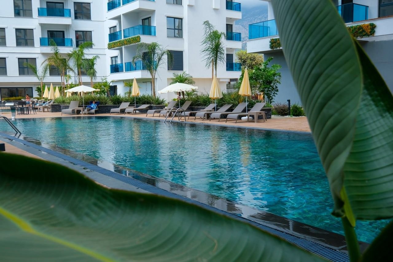 0ba47cec-cc0f-42de-be62-4f3a8b1c2272