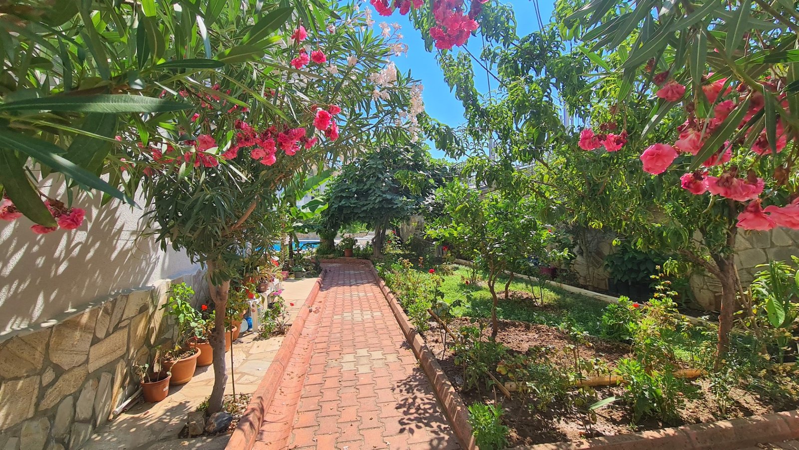 Maple Leaf 4-1 penthouse sea view (146) (Büyük)-1