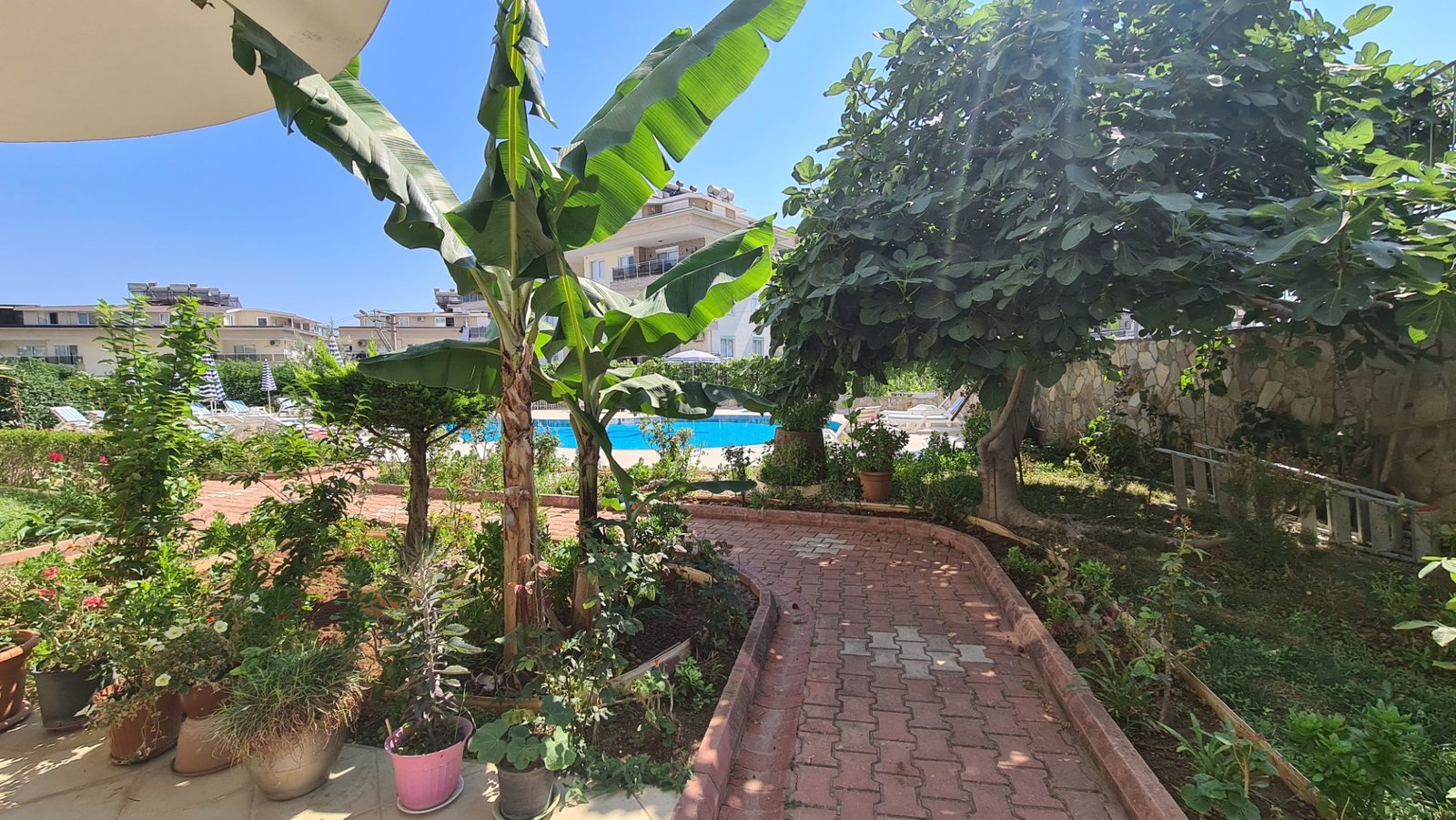 Maple Leaf 4-1 penthouse sea view (148) (Büyük)-1