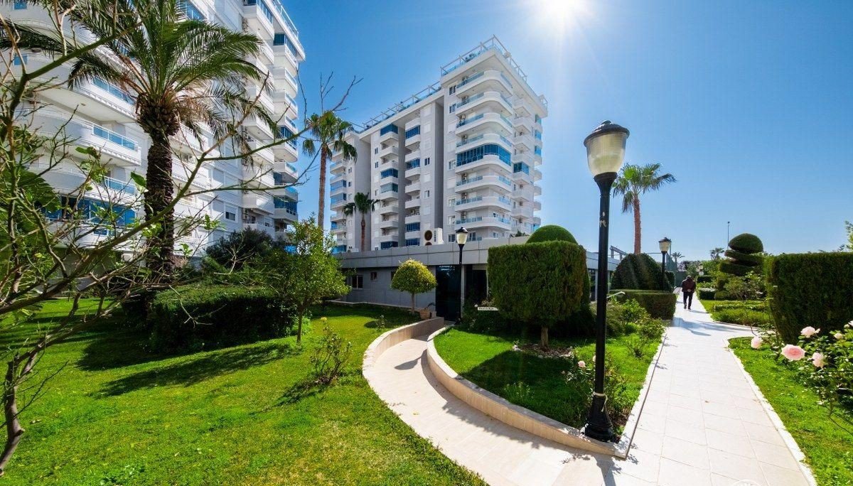 WhatsApp Image 2025-12-26 at 14.19.29 (2)